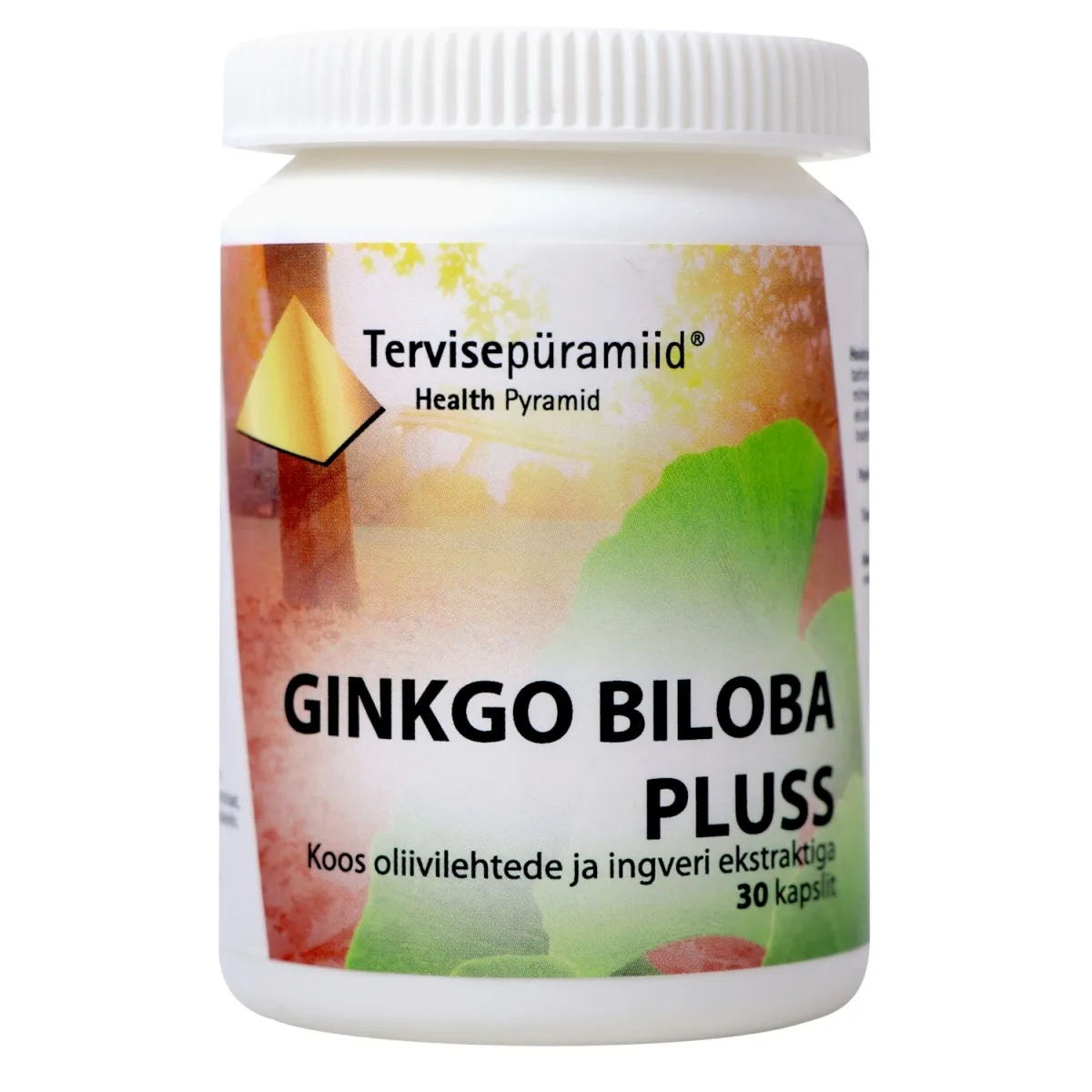 TERVISEPÜRAMIID GINKGO BILOBA PLUSS KAPSLID N30 - Tootepilt